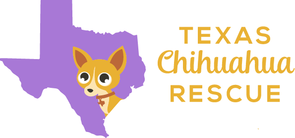 chihuahua rescue center